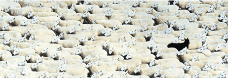 BBH featured image 1