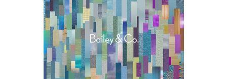 Bailey & Co. featured image 1