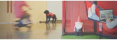 Netrush featured image 1