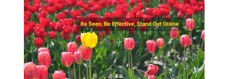 SEO Services Bristol featured image 1