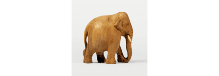 the chase featured image 1