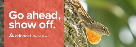Adcoast featured image 1
