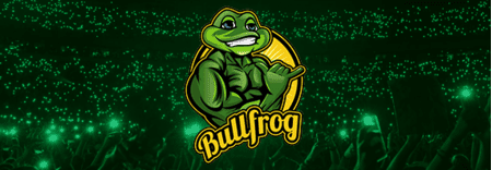 Bullfrog Digital Marketing Agency & SEO Company featured image 1